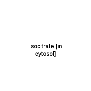 Isocitrate [in cytosol]